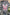 c44e6d3a-244e-43ea-a8c9-bf55f13240a2-Max
