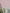 c5112edb-2c4d-41b3-8922-79d013bbea1d-Max