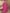 c557099e-4912-4d32-bf54-13a4182b5f3a-Max