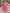 c9ed5604-4e1d-4c51-9a05-2c7e0d0b893b-Max