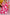 caf6659f-72e4-4c94-a9f1-fcf32bb55d04-Max