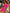 cc2b0bf2b9124f1eac6849a06ae4c35d-Min