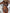 d1c86586b24c4048969beac333b9e2c4-Min