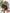 d81da50576f441b7aee432348e419f39-Min
