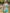 db95009b-447b-4af5-a0e1-bbdf691290bc-Max