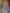 dc3b7646-cabf-44ba-bd00-a84af4c573cb-Max