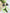 df62507ffe6e46e88b0dbfb1e7a07105-Min