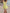 e1e36303-41a1-4669-85bd-ff4e30fdefc5-Max