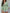 e2213098-4cfc-4b40-b319-a9ace23f8195-Max