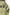e2991c14-1489-4a70-a8bf-a2b6b512a974-Max