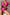 efb24405-892d-48e3-a013-8e577eb02cdb-Min