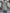 f2f793db-b553-4f32-b1e3-10eeb2d9fcba-Max