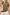 f6f48009-5a2f-48b6-9895-ee298f075957-Max