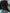 f76299e0-d0c1-43fe-beab-6b24721f0bbe-Max