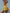 f78d03e3-fbcd-4197-aadc-2d728dd74d60-Max