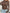 f87b503a-e7b3-4d53-903b-314801fc1e79-Max