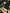 fc6e0b49-facd-4c0a-9122-371adaa92c2c-Min