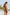ff461a24-d808-460f-88db-2baf14de164a-Min